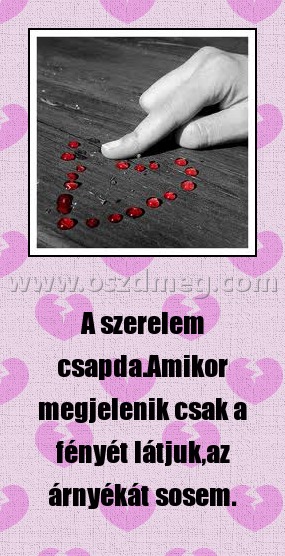 A szerelem csapda A szerelem csapda