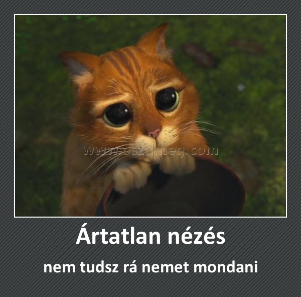Ártatlan nézés
 
nem tudsz rá nemet mondani