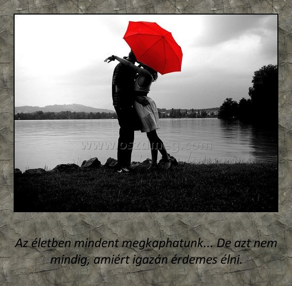 Az életben mindent megkaphatunk
 
