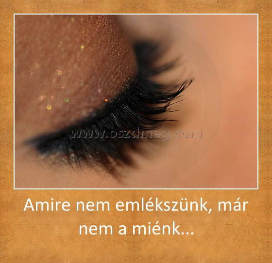 Amire nem emlékszünk, már nem a miénk... Amire nem emlékszünk, már nem a miénk...