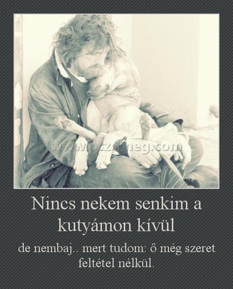 Nincs nekem senkim a kutyámon kívül
 
de nembaj.. mert tudom: ő még szeret feltétel nélkül.