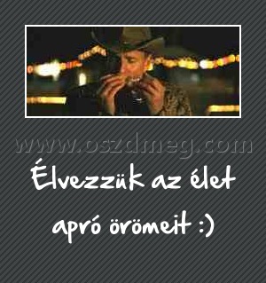 Élvezzük az élet apró örömeit
 
