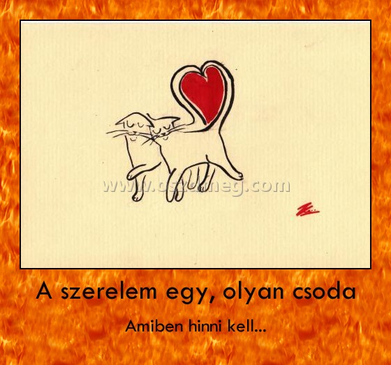 A szerelem egy, olyan csoda A szerelem egy, olyan csoda
Amiben hinni kell...