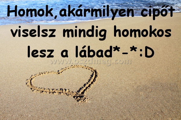 Homok
 
Homok,akármilyen cipőt viselsz mindig homokos lesz a lábad*-*:D