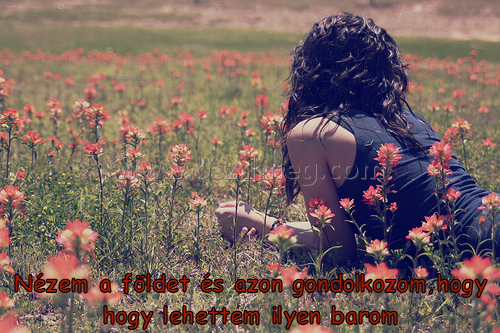 Nézem a földet és
 
Nézem a földet és azon gondolkozom,hogy hogy lehettem ilyen barom