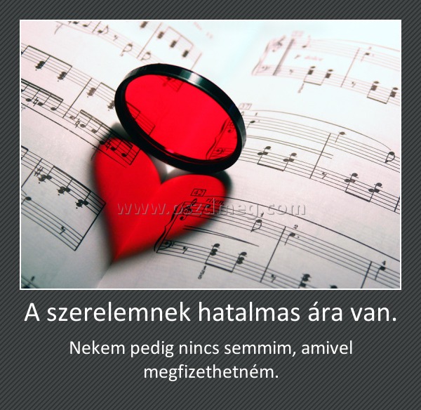 A szerelemnek hatalmas ára van.
 
Nekem pedig nincs semmim, amivel megfizethetném.