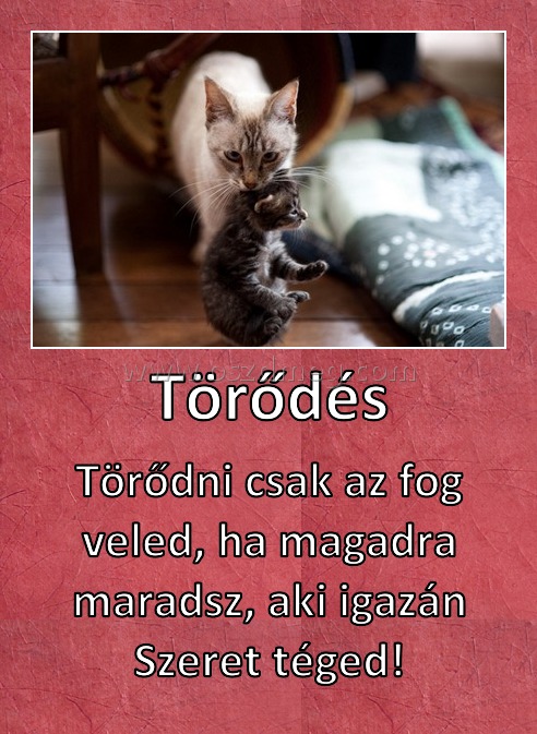 Törődés
 
Törődni csak az fog veled, ha magadra maradsz, aki igazán Szeret téged!
