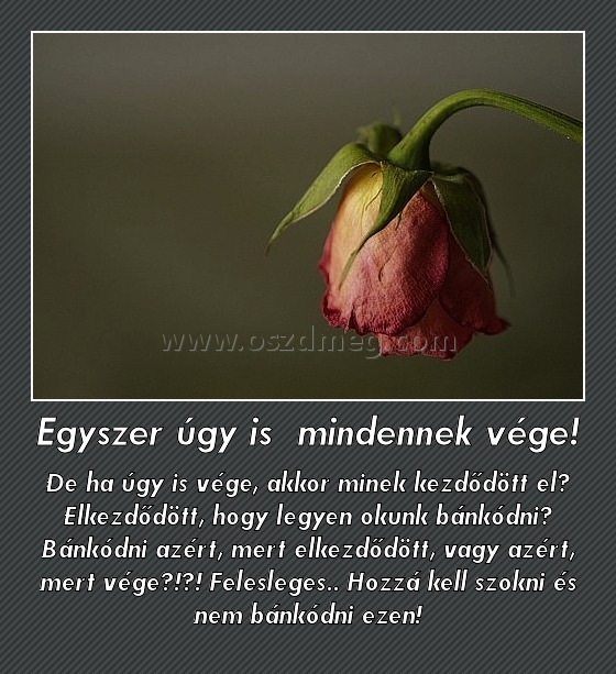 Egyszer úgy is  mindennek vége!
 
De ha úgy is vége, akkor minek kezdődött el? Elkezdődött, hogy legyen okunk bánkódni? Bánkódni azért, mert elkezdődött, vagy azért, mert vége?!?! Felesleges.. Hozzá kell szokni és nem bánkódni ezen!