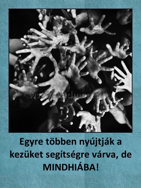 Egyre többen nyújtják a kezüket segítségre várva, de MINDHIÁBA!
 

