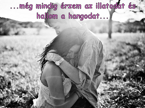 ...még mindig érzem az
 
...még mindig érzem az illatodat és hallom a hangodat...