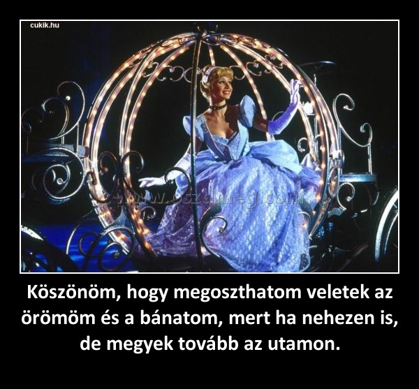 Köszönöm, hogy megoszthatom veletek az örömöm és a bánatom, mert ha nehezen is, de megyek tovább az utamon.
 
