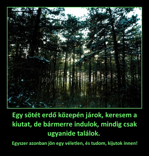 Egy sötét erdő közepén járok, keresem a kiutat, de bármerre indulok, mindig csak ugyanide találok. 
 
Egyszer azonban jön egy véletlen, és tudom, kijutok innen!