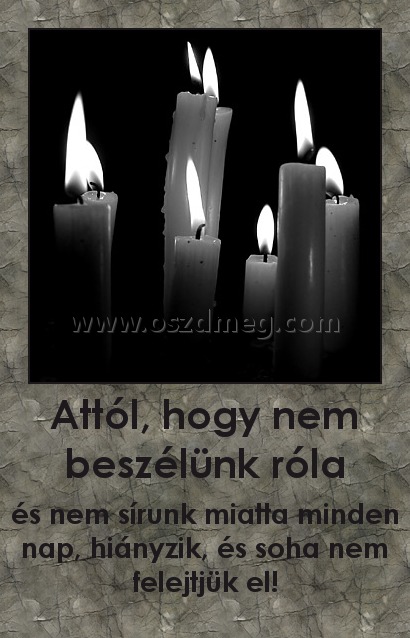Attól, hogy nem beszélünk róla
 
és nem sírunk miatta minden nap, hiányzik, és soha nem felejtjük el!