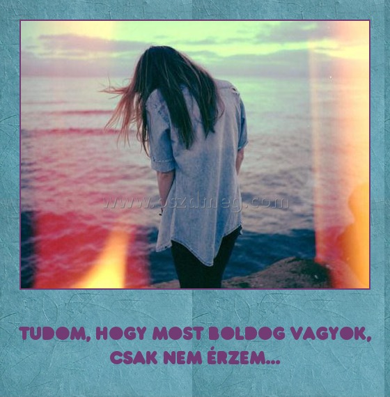 
 
Tudom, hogy most boldog vagyok, csak nem érzem...