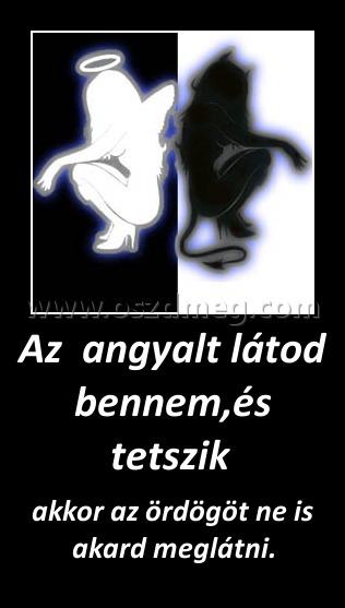 Az  angyalt látod bennem,és tetszik 
 
akkor az ördögöt ne is akard meglátni.