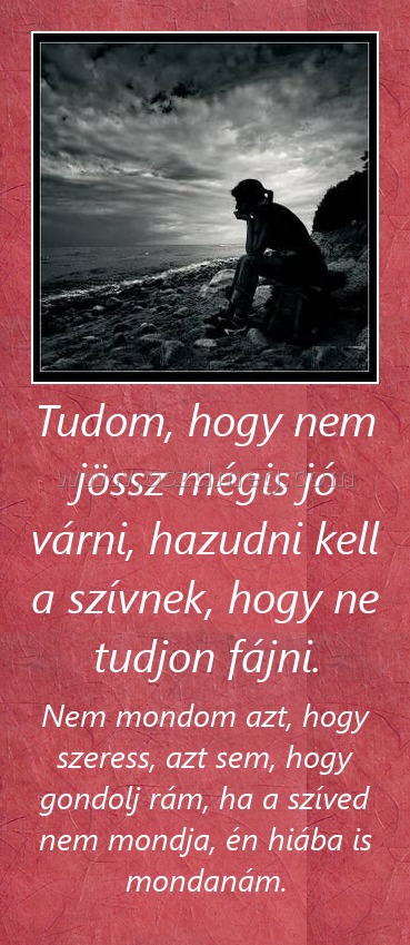 Tudom, hogy nem jössz mégis jó várni, hazudni kell a szívnek, hogy ne tudjon fájni.
 
Nem mondom azt, hogy szeress, azt sem, hogy gondolj rám, ha a szíved nem mondja, én hiába is mondanám.