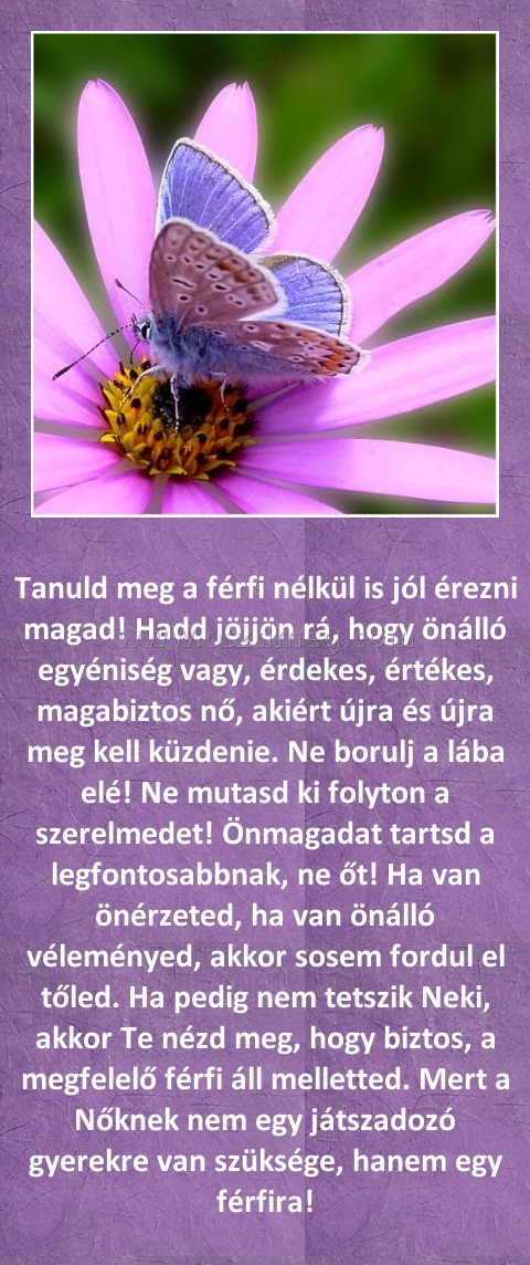 
 
Tanuld meg a férfi nélkül is jól érezni magad! Hadd jöjjön rá, hogy önálló egyéniség vagy, érdekes, értékes, magabiztos nő, akiért újra és újra meg kell küzdenie. Ne borulj a lába elé! Ne mutasd ki folyton a szerelmedet! Önmagadat tartsd a legfontosabbnak, ne őt! Ha van önérzeted, ha van önálló véleményed, akkor sosem fordul el tőled. Ha pedig nem tet
005225
szik Neki, akkor Te nézd meg, hogy biztos, a megfelelő férfi áll melletted. Mert a Nőknek nem egy játszadozó gyerekre van szüksége, hanem egy férfira!