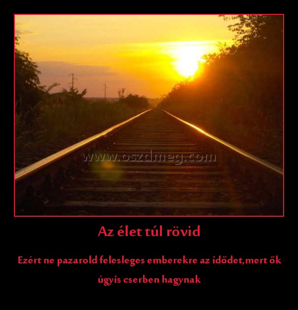 Az élet túl rövid
 
Ezért ne pazarold felesleges emberekre az idődet,mert ők úgyis cserben hagynak