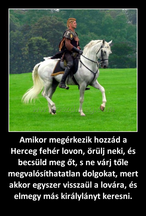 Amikor megérkezik hozzád a Herceg fehér lovon, örülj neki, és becsüld meg őt, s ne várj tőle megvalósíthatatlan dolgokat, mert akkor egyszer visszaül a lovára, és elmegy más királylányt keresni.
 
