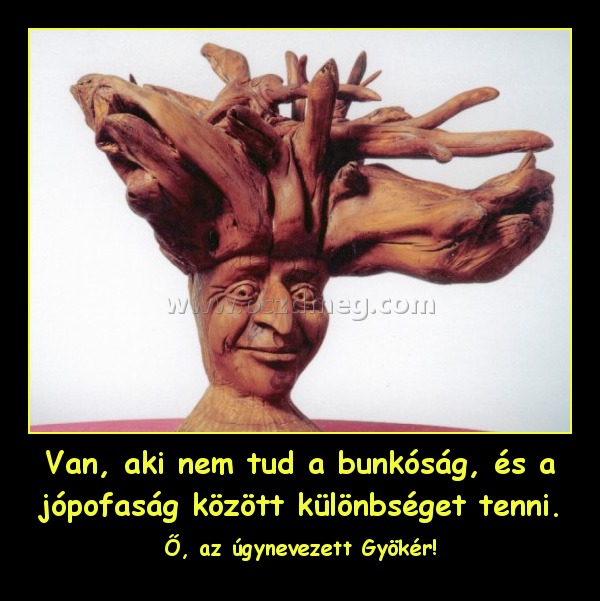 Van, aki nem tud a bunkóság, és a jópofaság között különbséget tenni.
 
Ő, az úgynevezett Gyökér!