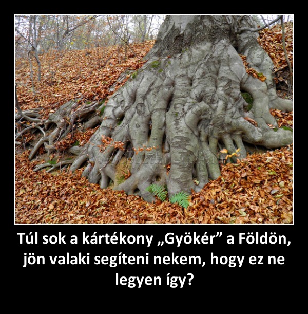 Túl sok a kártékony „Gyökér” a Földön, jön valaki segíteni nekem, hogy ez ne legyen így?
 
