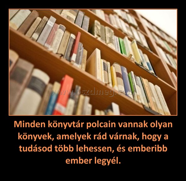 Minden könyvtár polcain vannak olyan könyvek, amelyek rád várnak, hogy a tudásod több lehessen, és emberibb ember legyél.
 
