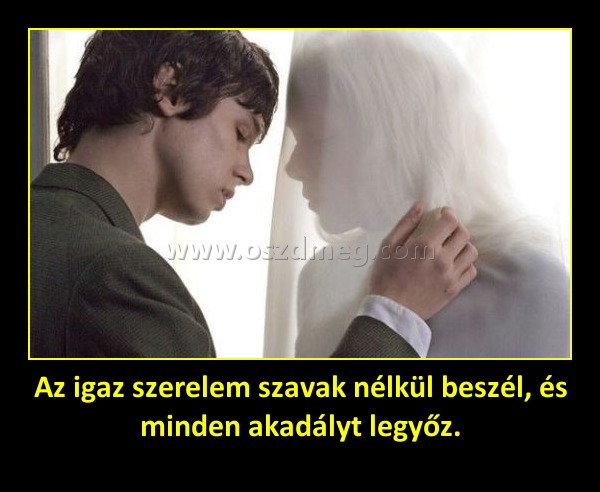Az igaz szerelem szavak nélkül beszél, és minden akadályt legyőz.
 
