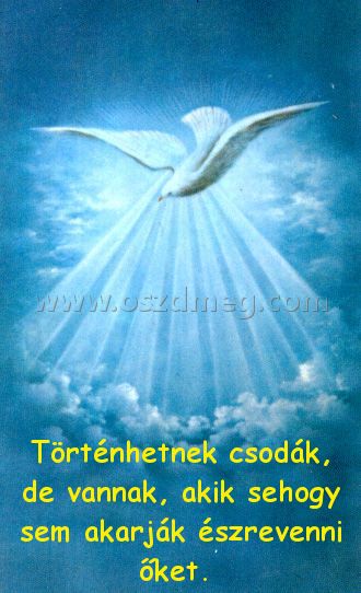 Történhetnek csodák
 
Történhetnek csodák, de vannak, akik sehogy sem akarják észrevenni őket. 