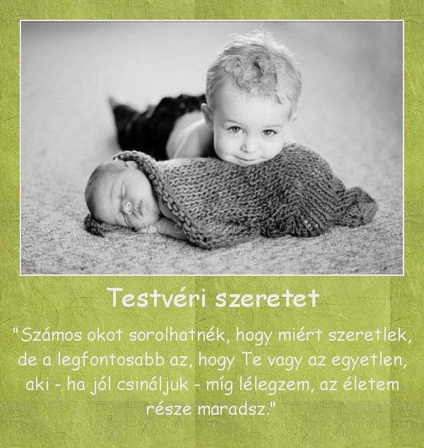 Testvéri szeretet
 
