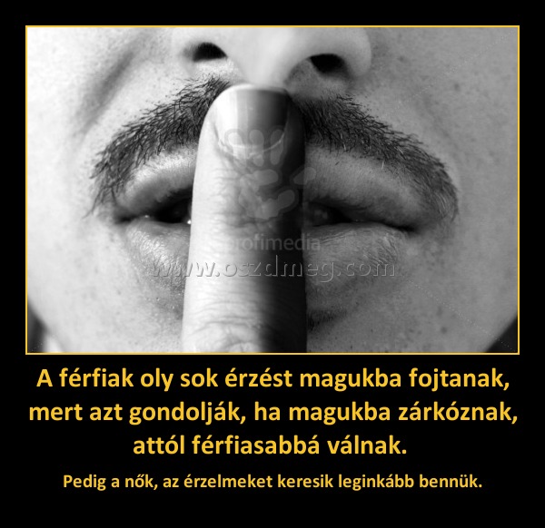 A férfiak oly sok érzést magukba fojtanak, mert azt gondolják, ha magukba zárkóznak, attól férfiasabbá válnak. 
 
Pedig a nők, az érzelmeket keresik leginkább bennük.