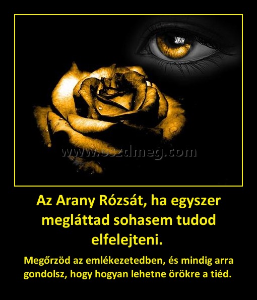 Az Arany Rózsát, ha egyszer megláttad sohasem tudod elfelejteni. 
 
Megőrzöd az emlékezetedben, és mindig arra gondolsz, hogy hogyan lehetne örökre a tiéd. 