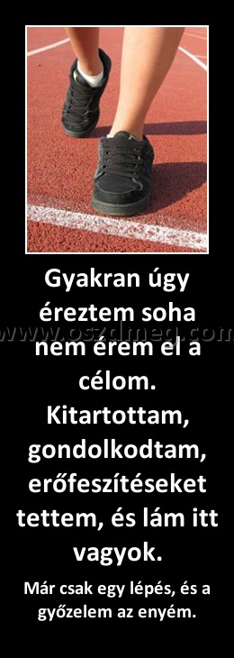 Gyakran úgy éreztem soha nem érem el a célom. Kitartottam, gondolkodtam, erőfeszítéseket tettem, és lám itt vagyok.
 
Már csak egy lépés, és a győzelem az enyém.