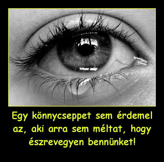 Egy könnycseppet sem érdemel az, aki arra sem méltat, hogy észrevegyen bennünket!
 
