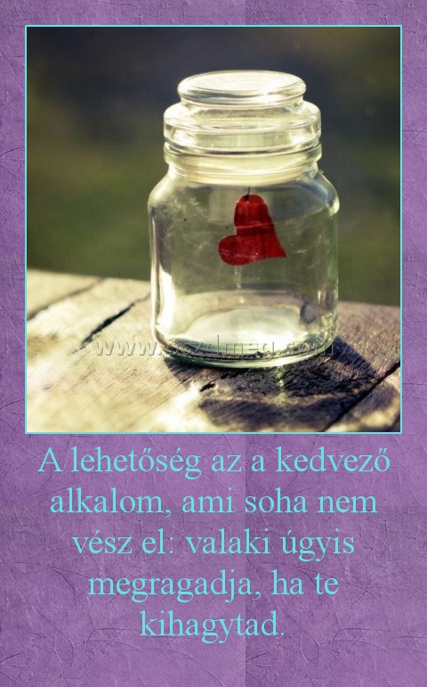 A lehetőség az a kedvező alkalom, ami soha nem vész el: valaki úgyis megragadja, ha te kihagytad.
 
