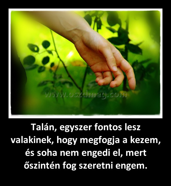Talán, egyszer fontos lesz valakinek, hogy megfogja a kezem, és soha nem engedi el, mert őszintén fog szeretni engem.
 

