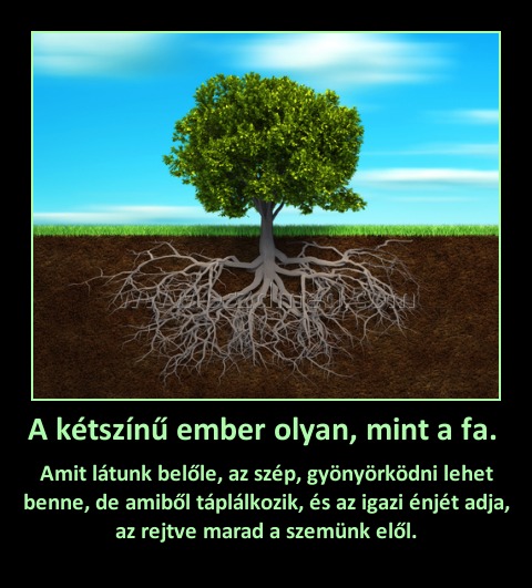 A kétszínű ember olyan, mint a fa. 
 
Amit látunk belőle, az szép, gyönyörködni lehet benne, de amiből táplálkozik, és az igazi énjét adja, az rejtve marad a szemünk elől.