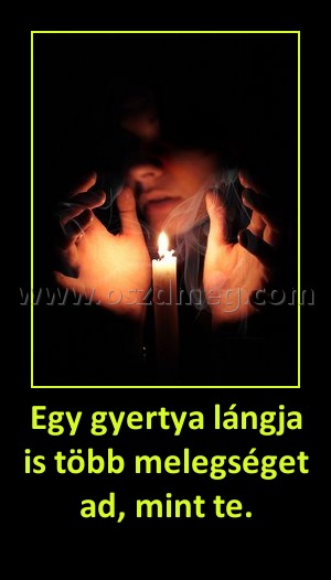 Egy gyertya lángja is több melegséget ad, mint te.
 
