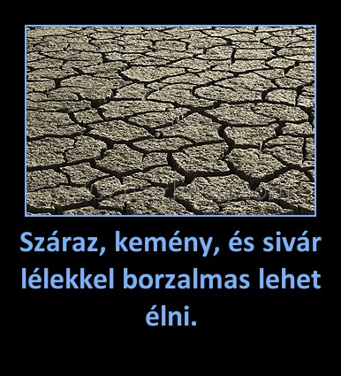 Száraz, kemény, és sivár lélekkel borzalmas lehet élni.
 
