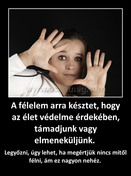 A félelem arra késztet, hogy az élet védelme érdekében, támadjunk vagy elmeneküljünk. 
 
Legyőzni, úgy lehet, ha megértjük nincs mitől félni, ám ez nagyon nehéz. 