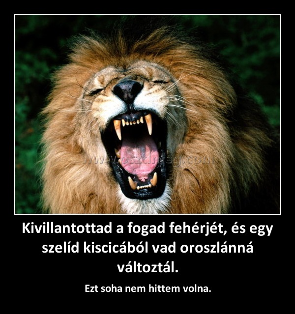 Kivillantottad a fogad fehérjét, és egy szelíd kiscicából vad oroszlánná változtál.
 
Ezt soha nem hittem volna.