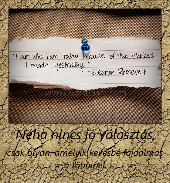 Néha nincs jó választás,
 
csak olyan, amelyik kevésbé fájdalmas a többinél.