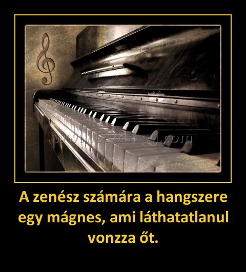 A zenész számára a hangszere egy mágnes, ami láthatatlanul vonzza őt.
 
