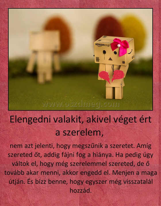 Elengedni valakit, akivel véget ért a szerelem, 
 
nem azt jelenti, hogy megszűnik a szeretet. Amíg szereted őt, addig fájni fog a hiánya. Ha pedig úgy váltok el, hogy még szerelemmel szereted, de ő tovább akar menni, akkor engedd el. Menjen a maga útján. És bízz benne, hogy egyszer még visszatalál hozzád.